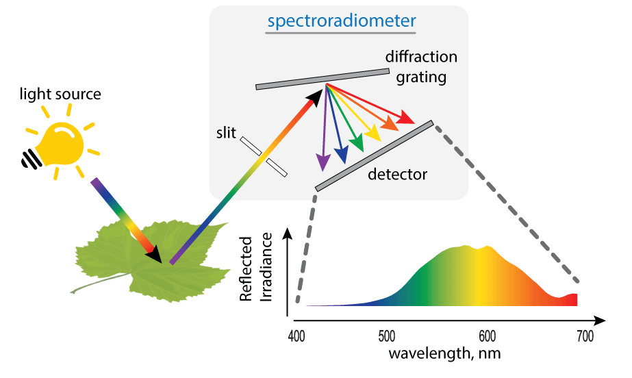 Description of image